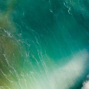 Meet your Posher, Halima